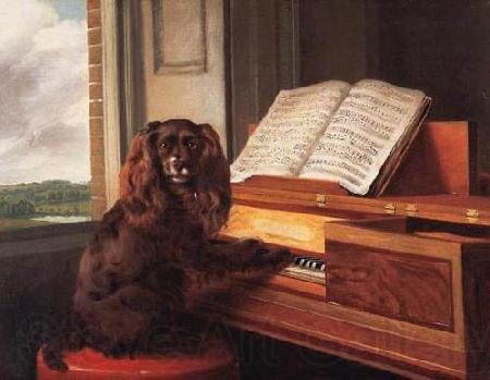 Philip Reinagle Portrait of an Extraordinary Musical Dog Norge oil painting art